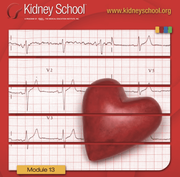 Heart Health and Blood Pressure: Kidney School Module 13