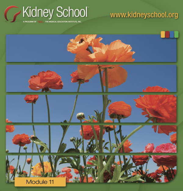 Sexuality and Fertility: Kidney School Module 11