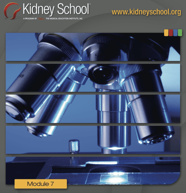 Understanding Kidney Lab Tests: Kidney School Module 7