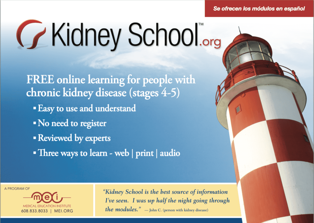 Kidney School