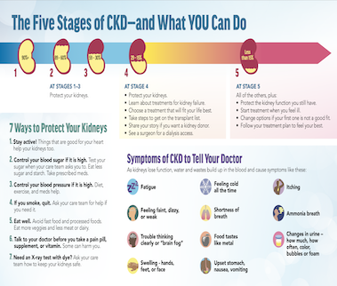 stages of kidney disease